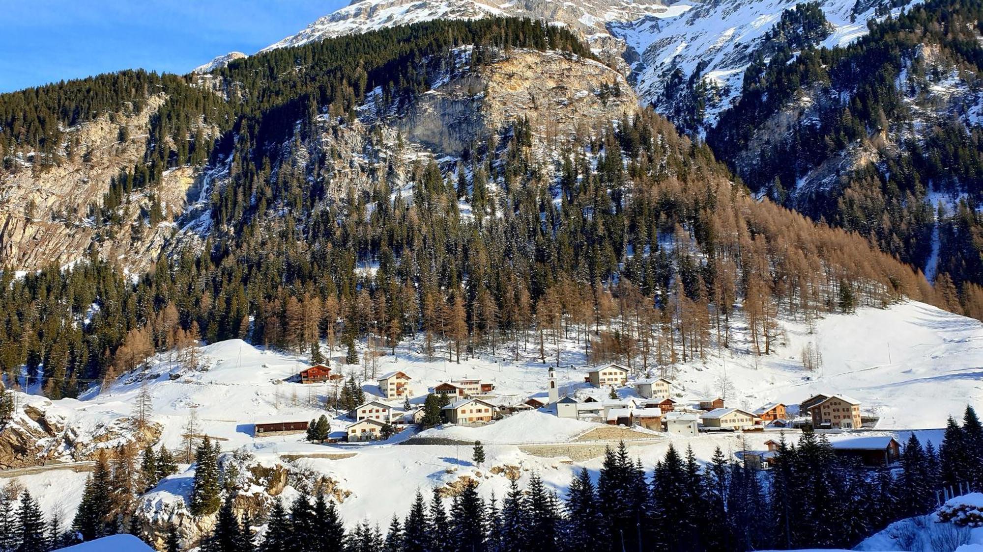 Alpenrose * Innerferrera